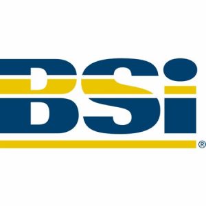 BSI Logo | Gate Safe