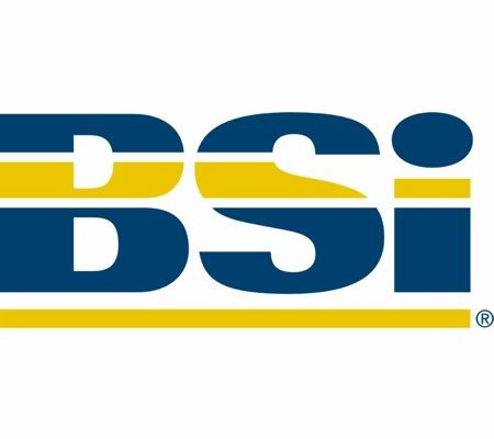 BSI Logo | Gate Safe